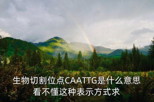 什么是破位點(diǎn)，生物切割位點(diǎn)CAATTG是什么意思看不懂這種表示方式求