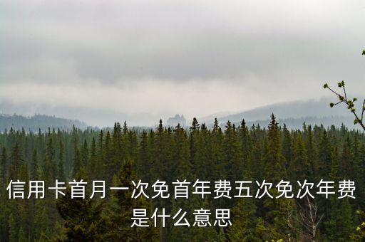 年首月什么意思，信用卡首月一次免首年費五次免次年費是什么意思