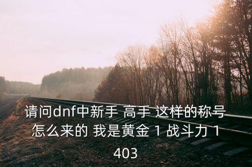 請(qǐng)問(wèn)dnf中新手 高手 這樣的稱(chēng)號(hào)怎么來(lái)的 我是黃金 1 戰(zhàn)斗力 1403