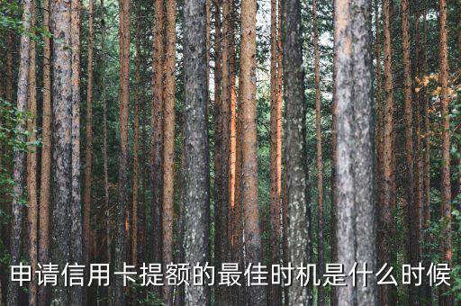 申請信用卡提額的最佳時機(jī)是什么時候