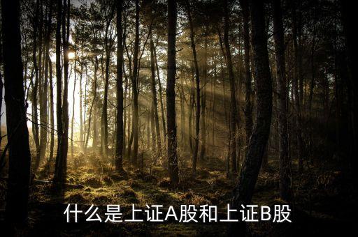 什么股票屬于上證，什么股票代碼屬于上證指數(shù)1A0001
