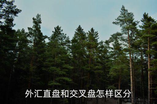 什么叫交叉盤，什么叫交叉盤hg0088誰能跟我指點(diǎn)一下嗎