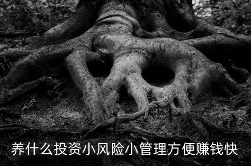 養(yǎng)什么投資小風(fēng)險(xiǎn)小管理方便賺錢快