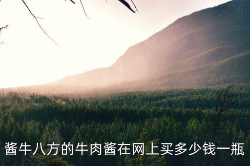 醬牛八方的牛肉醬在網(wǎng)上買多少錢一瓶