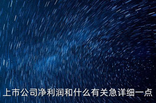 上市公司為什么要這么多凈利潤，上市公司凈利潤和什么有關(guān)急詳細(xì)一點