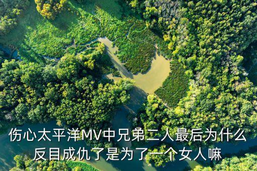 傷心太平洋MV中兄弟二人最后為什么反目成仇了是為了一個女人嘛