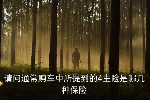 汽車四大主險是什么，四大主險是那幾個