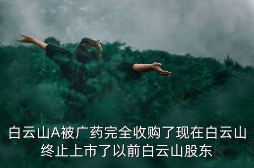 白云山A被廣藥完全收購了現(xiàn)在白云山終止上市了以前白云山股東