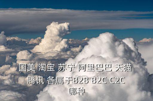 國美 淘寶 蘇寧 阿里巴巴 天貓 騰訊 各屬于B2B B2C C2C哪種