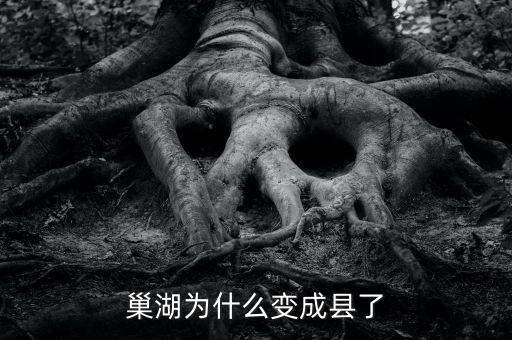 巢湖為什么變成縣了
