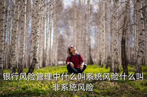 不發(fā)生系統(tǒng)性什么意思，銀行風險管理中什么叫系統(tǒng)風險什么叫非系統(tǒng)風險