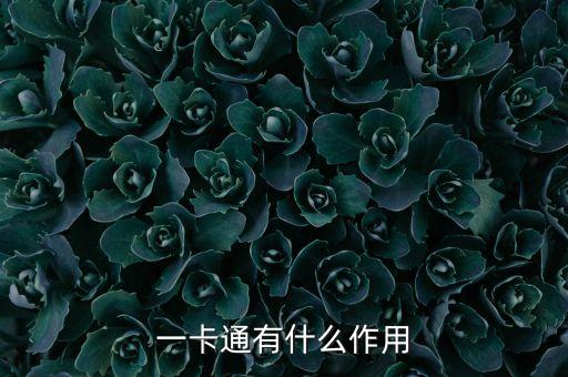 快錢金融一卡通有什么用，一卡通有什么用