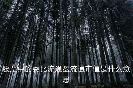 股票中的委比流通盤流通市值是什么意思