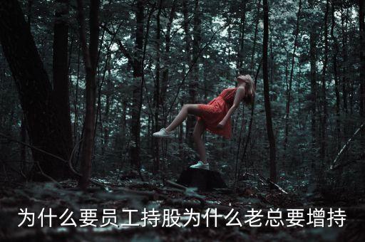 董事長增持意味什么，董事長增持公司股雩說明什么
