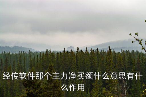 主力大額凈買是什么意思，主力凈買是什么意思