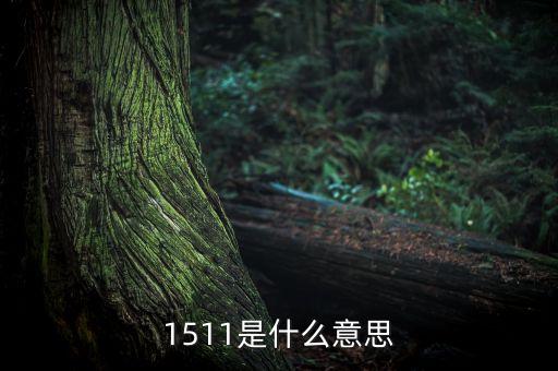 if1511是什么，1511是什么意思
