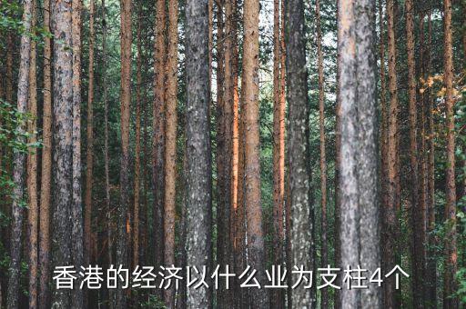 香港經(jīng)濟(jì)以什么為主，香港的經(jīng)濟(jì)特點(diǎn)是以工業(yè)為主導(dǎo)