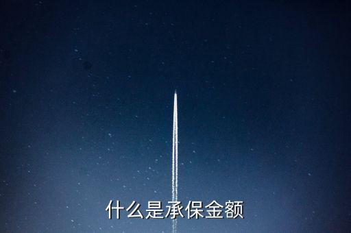 承保額是什么，承保額是什么意思
