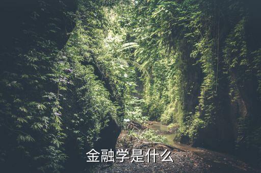 金融學(xué)什么，金融都學(xué)些什么啊
