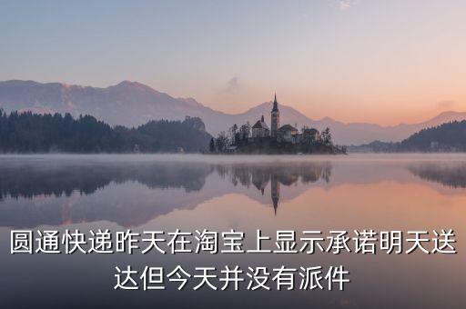 圓通承諾達(dá)是什么，圓通承諾送達(dá)遲到賠付是賣家包郵的賠付給賣家嗎