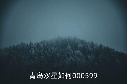 000599青島雙星集團(tuán)是什么感受，青島雙星如何000599