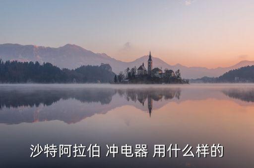 沙特阿拉伯 沖電器 用什么樣的