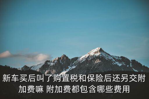 新車買后叫了購置稅和保險后還另交附加費嘛 附加費都包含哪些費用