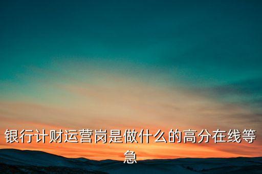 銀行計(jì)財(cái)運(yùn)營(yíng)崗是做什么的高分在線等急