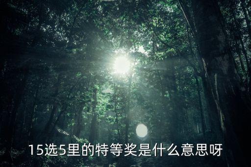 15選5 什么是特等獎，15選5 怎么算中特等獎