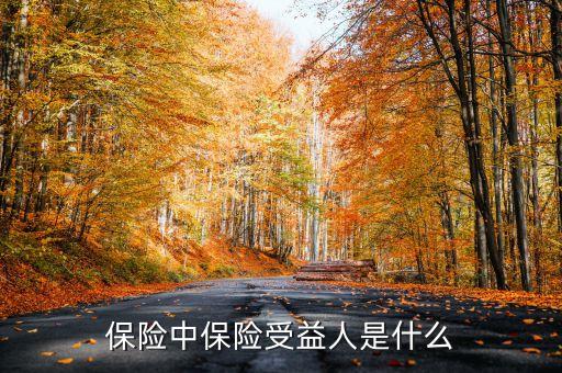 保險(xiǎn)中保險(xiǎn)受益人是什么