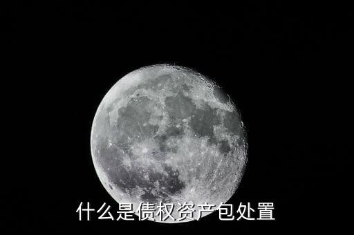 什么是債權資產(chǎn)包處置