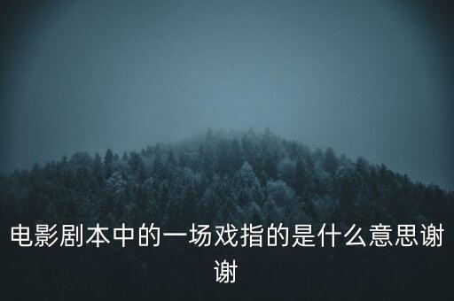電影劇本中的一場(chǎng)戲指的是什么意思謝謝