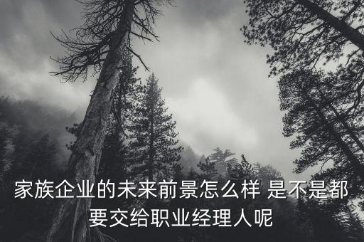 家族企業(yè)的未來前景怎么樣 是不是都要交給職業(yè)經理人呢