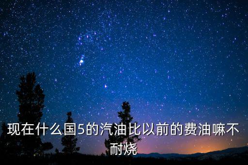 國五車燒什么油，國六國五的汽油和車是什么關系