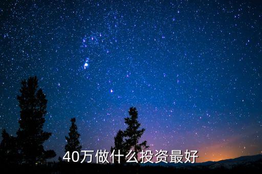 40萬(wàn)投資什么，有四十萬(wàn)可以投資一些什么項(xiàng)目我指的是事業(yè)性的不是股票之類的