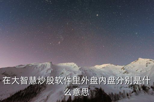 大智慧內(nèi)盤是什么意思，大智慧上顯示的內(nèi)盤外盤數(shù)據(jù)是什么意思