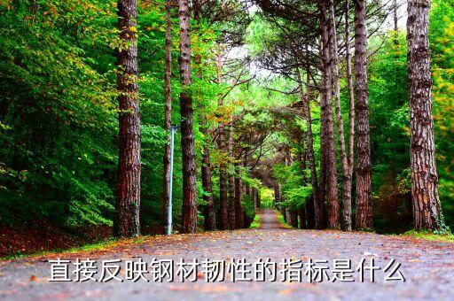直接反映鋼材韌性的指標(biāo)是什么