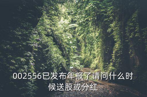 深圳能源什么時(shí)候送股，深圳能源什么時(shí)候送股