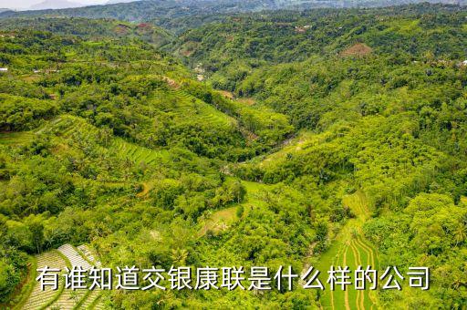 交銀康聯(lián)是什么公司，有誰(shuí)知道交銀康聯(lián)是什么樣的公司