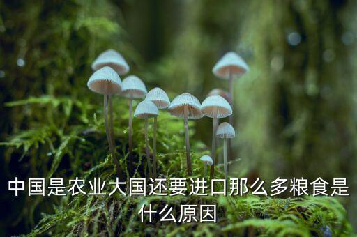 國內(nèi)糧食充裕為什么還要進(jìn)口，為什么中國還要進(jìn)口糧食