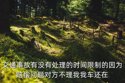 交通事故有沒有處理的時間限制的因為賠償問題對方不理我我車還在