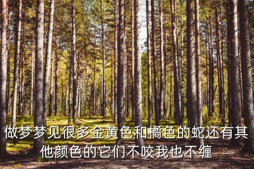做夢(mèng)夢(mèng)見很多金黃色和橘色的蛇還有其他顏色的它們不咬我也不纏
