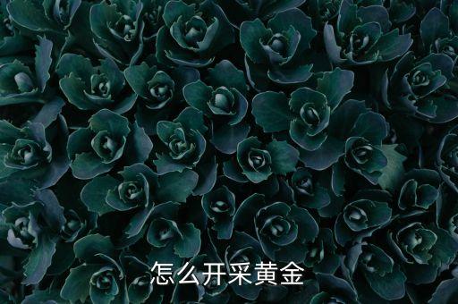 怎么開(kāi)采黃金