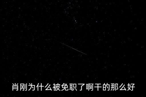 肖剛辭職路透社為什么被封號(hào)，肖剛為什么被免職了啊干的那么好