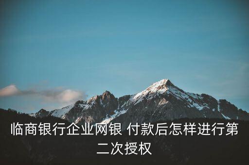 臨商銀行企業(yè)網銀 付款后怎樣進行第二次授權