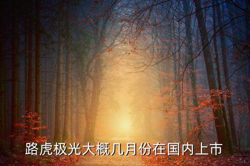 路虎極光大概幾月份在國內(nèi)上市