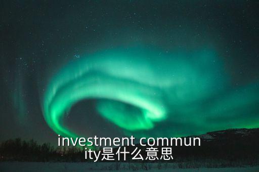 investment community是什么意思