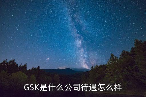 gsk公司的價(jià)值觀是什么，GSK是什么意思