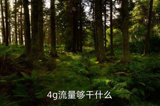 4g流量能干什么，4g流量夠干什么