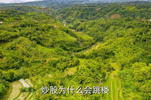 為什么炒股會(huì)跳樓，炒股炒到要跳樓是因?yàn)槭裁?/></a></span><span id=